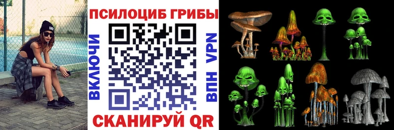 Псилоцибиновые грибы прущие грибы  omg рабочий сайт  Волжский  где купить наркотик 