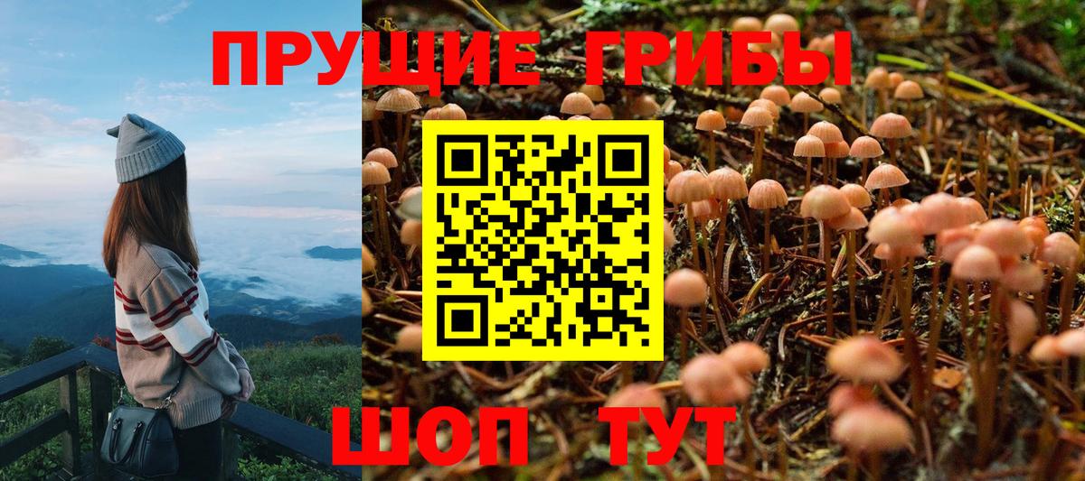 Псилоцибиновые грибы Psilocybe Волжский