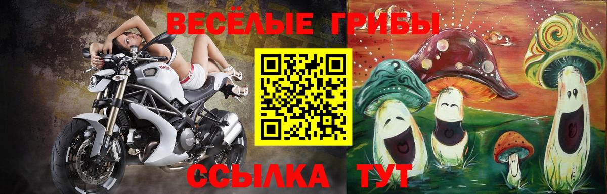 Галлюциногенные грибы прущие грибы  Вход с VPN  Волжский 